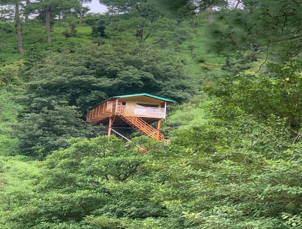 The Cocoon Camps & Nature Resorts Nainital Exterior foto